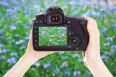 Fotoğrafçı ile iş yerinde fotoğraf makinesi