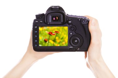 Fotoğrafçı ile fotoğraf makinesi üzerinde beyaz izole iş yerinde,
