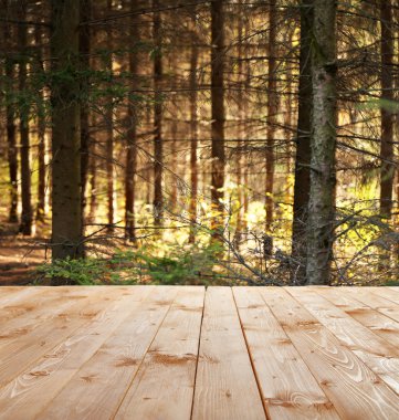 Güzel sonbahar ormanı. doğa arkaplanı