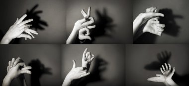 Hayvanlar gibi el jest 