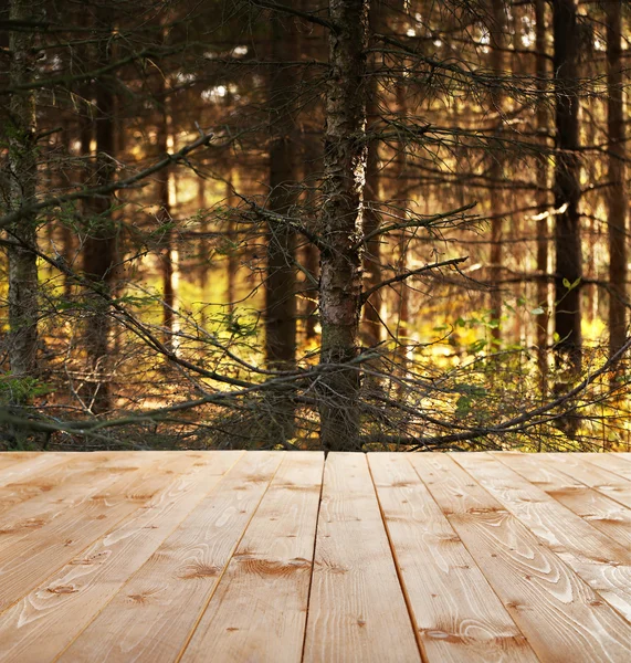 Vacker höstskog. natur bakgrund — Stockfoto