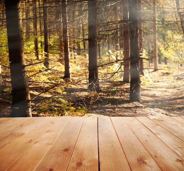 Sonnenlicht im Herbstwald. Hintergrund Natur — Stockfoto