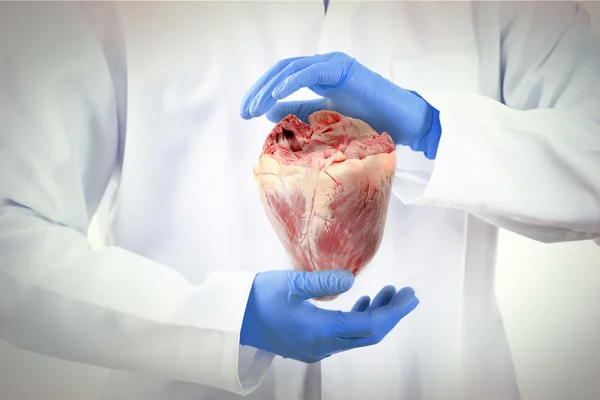 Concept médical. Homme médecin avec le cœur réel dans les mains . — Photo
