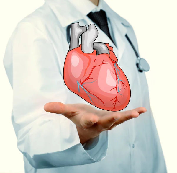 Medicinska begrepp. Manliga läkare med verkliga hjärta i händer. — Stockfoto