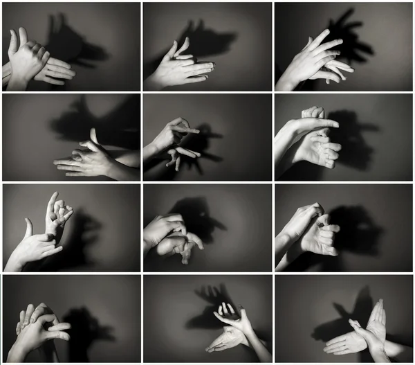 Hands gesture like different  animals and figures on gray background — Stock Photo, Image