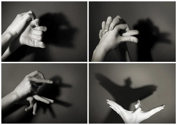 Mãos gesto como animais — Fotografia de Stock
