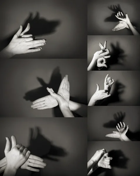 Gesto rukou jako jiné zvířata — Stock fotografie
