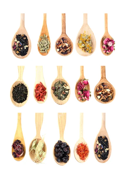 Collection of tea and natural additives in wooden spoons, isolated on white — Stock Photo, Image