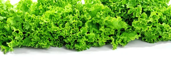 Fresh lettuce isolated on white — Stock Photo, Image