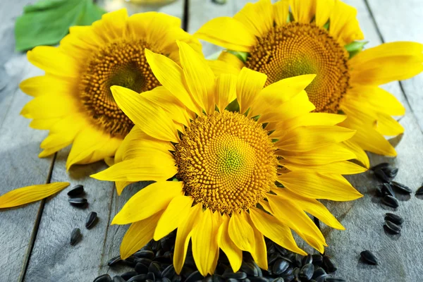 Beautiful bright sunflowers with seeds on wooden table close up — Stock Photo, Image