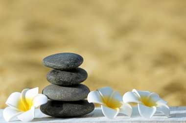 Kum plajı üzerinde çiçekler olan Spa taş yakın çekim