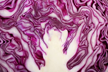 kırmızı lahana portre