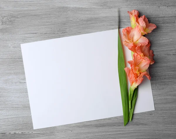 Blank card with beautiful gladiolus on wooden background — Stock Photo, Image