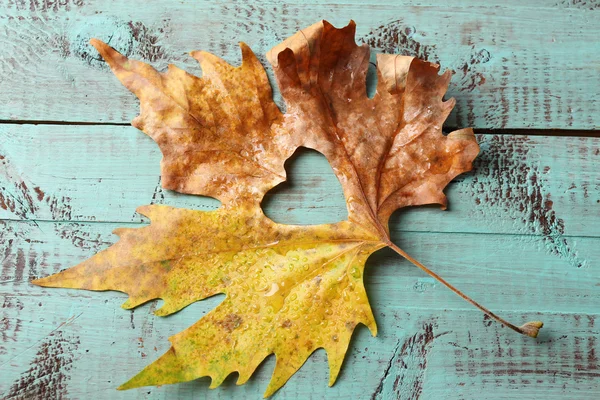 Dried autumn leaf with cutout heart on wooden background — Stock Photo, Image