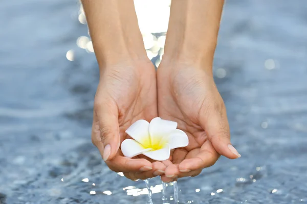 Mani femminili che tengono il fiore e toccano l'acqua — Foto Stock