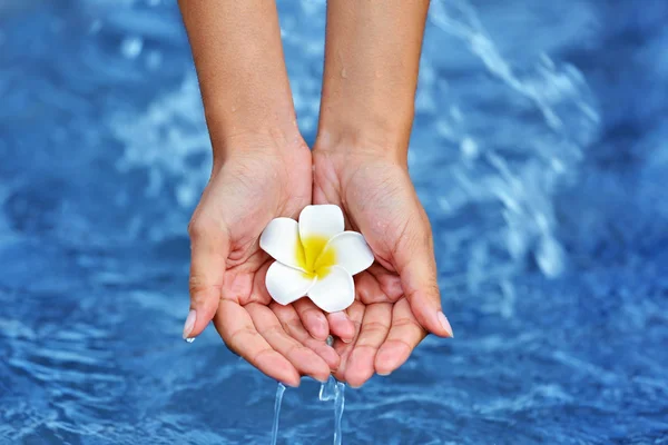 Mani femminili che tengono il fiore e toccano l'acqua — Foto Stock