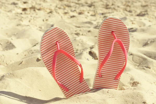 Flip flops on beach sand closeup Stock Image