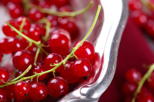 Fresh red currants in bowl — Stock Photo, Image