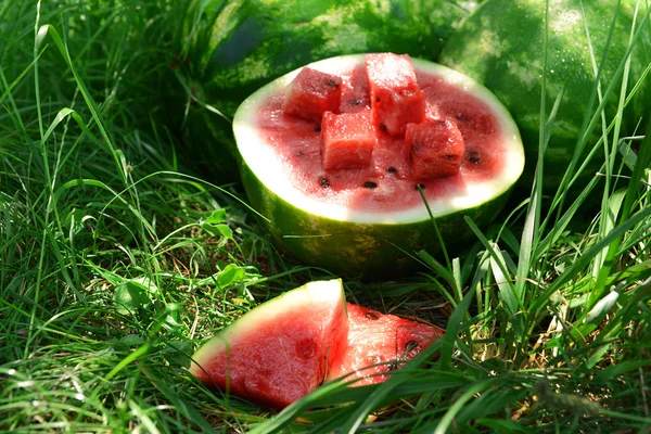 Fresh watermelon over green grass — Stock Photo, Image