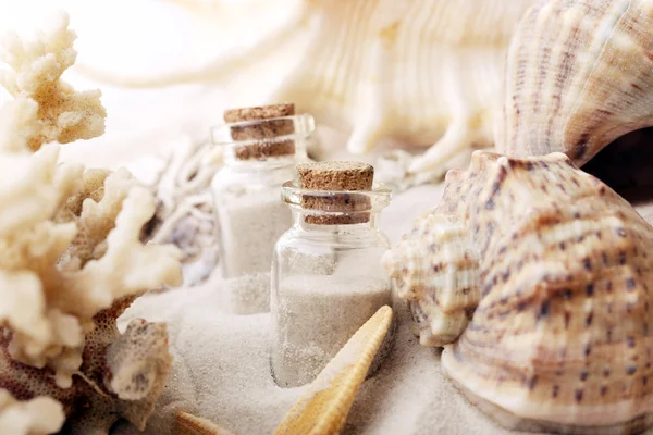 Beautiful seashells on sand background — Stock Photo, Image