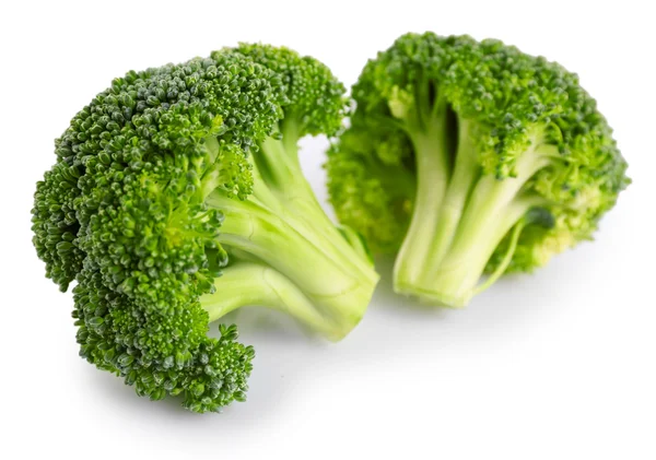 Verse groene broccoli — Stockfoto