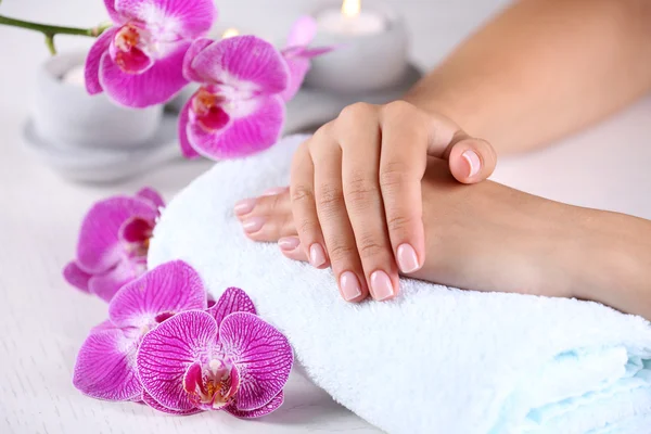 Manos con manicura francesa y flores de orquídea — Foto de Stock