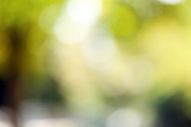 Yeşil doğa arkaplanı