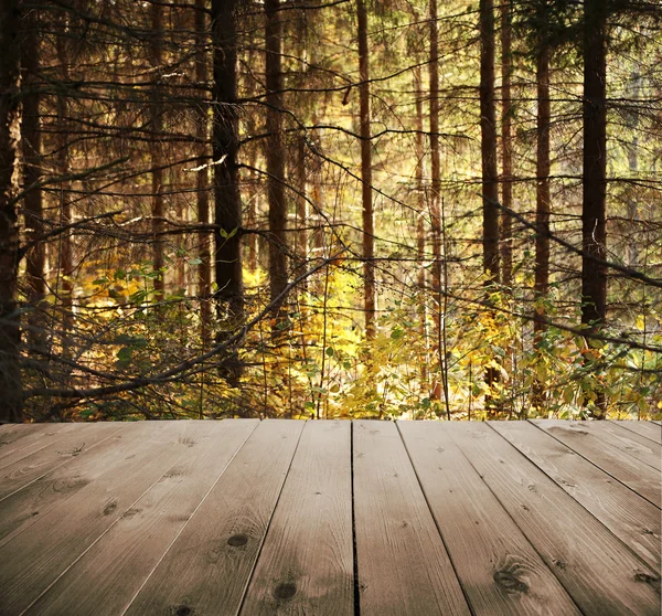 Hermoso bosque de otoño. — Foto de Stock