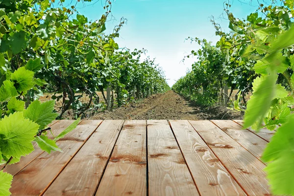 Houten tafel in de wijngaard — Stockfoto