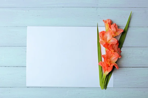 Cartão em branco com belo gladíolo — Fotografia de Stock