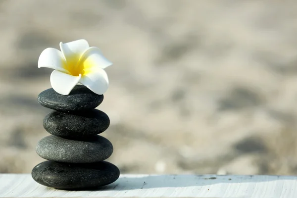 Piedras de spa con flor — Foto de Stock