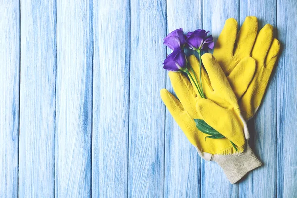 Gul trädgårdsmästarens handskar och violett blomma på blå trä bakgrund — Stockfoto