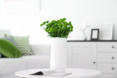 Vazoda masada yeşil krizantem