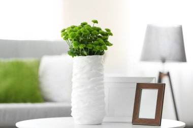 Vazoda masada yeşil krizantem