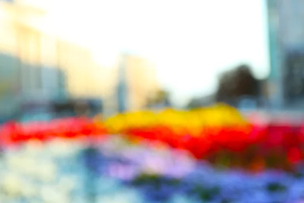 Blur ciudad abstracta con cama de flores — Foto de Stock