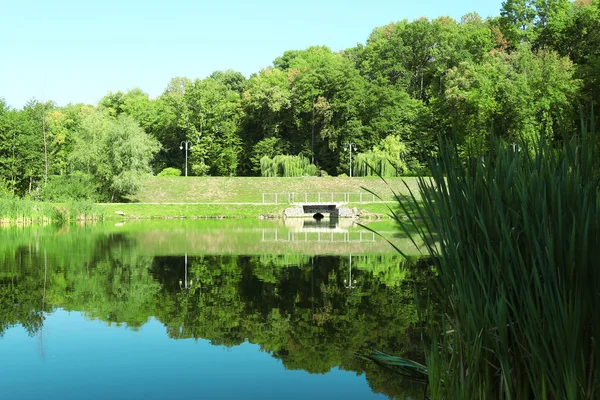 Озеро в парке Феофания. Киев — стоковое фото