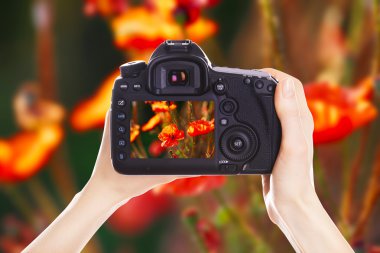 Fotoğrafçı ile iş yerinde fotoğraf makinesi 