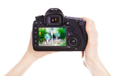 Fotoğrafçı ile iş yerinde fotoğraf makinesi 