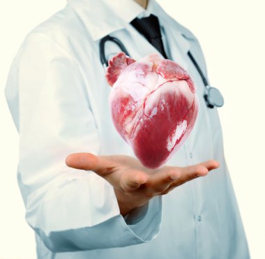 Doktor elinde kalp ile.