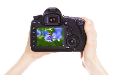 Fotoğrafçı ile iş yerinde fotoğraf makinesi 