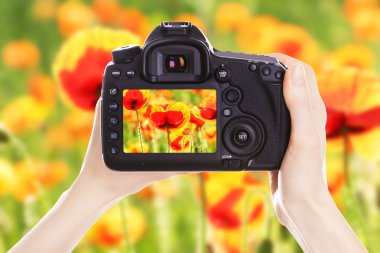 Fotoğrafçı ile iş yerinde fotoğraf makinesi 