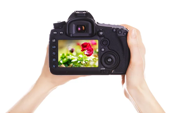 Fotoğrafçı ile iş yerinde fotoğraf makinesi — Stok fotoğraf