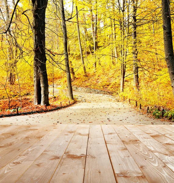 Bella foresta autunnale. — Foto Stock