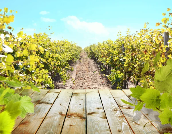 Houten tafel met wijngaard — Stockfoto