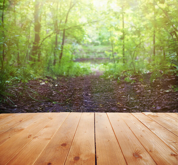 Sunlight in forest background