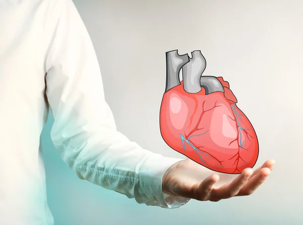 Doctor with real heart in hands. — Stock Photo, Image