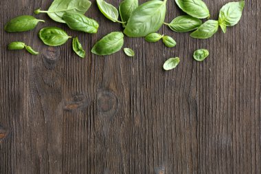 Yeşil taze fesleğen