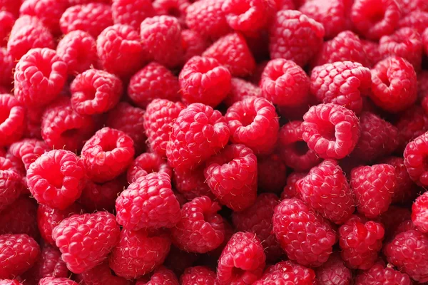 Heap of sweet red raspberries close up — Stock Photo, Image