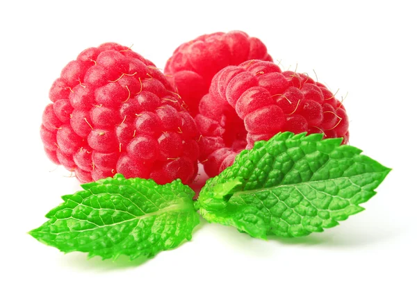 Frische rote Himbeeren isoliert auf weißen — Stockfoto