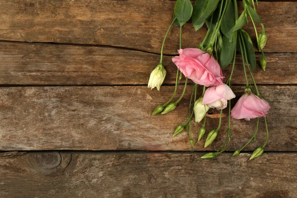 아름 다운 eustoma 배경 — 스톡 사진